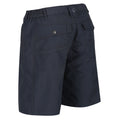 Seal Grey - Side - Regatta Womens-Ladies Chaska II Walking Shorts