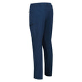 Blue Wing - Lifestyle - Regatta Mens Highton Multi Pocket Walking Trousers