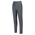 Seal Grey - Lifestyle - Regatta Womens-Ladies Pentre Marl Hiking Trousers