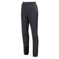 Seal Grey - Side - Regatta Womens-Ladies Mountain III Walking Trousers