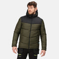 Dark Khaki-Black - Back - Regatta Mens Regime Insulated Padded Jacket