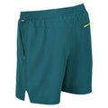 Pacific Green - Side - Regatta Mens Hilston 2 in 1 Shorts