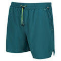 Pacific Green - Lifestyle - Regatta Mens Hilston 2 in 1 Shorts