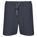 India Grey - Front - Regatta Mens Hilston 2 in 1 Shorts