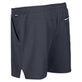 India Grey - Side - Regatta Mens Hilston 2 in 1 Shorts