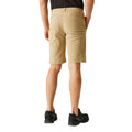 Oat - Pack Shot - Regatta Mens Highton Walking Shorts