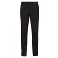 Black - Front - Regatta Mens Mountain III Hiking Trousers