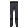 Seal Grey-Black - Back - Regatta Mens Mountain III Hiking Trousers