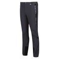 Seal Grey-Black - Side - Regatta Mens Mountain III Hiking Trousers