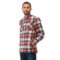 Burnt Henna-Storm Grey - Lifestyle - Regatta Mens Thamos Checked Long-Sleeved Shirt