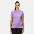 Light Amethyst - Back - Regatta Womens-Ladies Fingal VI Mountain T-Shirt