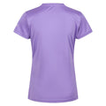 Light Amethyst - Pack Shot - Regatta Womens-Ladies Fingal VI Mountain T-Shirt