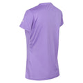 Light Amethyst - Close up - Regatta Womens-Ladies Fingal VI Mountain T-Shirt