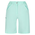 Ocean Wave - Front - Regatta Womens-Ladies Xert Stretch Shorts