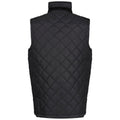 Black - Pack Shot - Regatta Mens Padbury Insulated Body Warmer