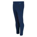 Moonlight Denim - Close up - Regatta Childrens-Kids Pentre Trousers