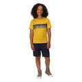 Navy - Pack Shot - Regatta Childrens-Kids Alber Ottoman Shorts