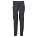 Seal Grey-Black - Front - Regatta Mens Mountain Zip-Off Trousers