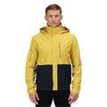 Yellow Gold-Navy - Back - Regatta Mens Feelding Colour Block Waterproof Bomber Jacket