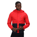 True Red-Navy - Back - Regatta Mens Feelding Colour Block Waterproof Bomber Jacket