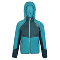 Pagoda Blue-Dragonfly - Front - Regatta Childrens-Kids Prenton Lightweight Fleece Jacket