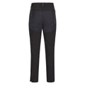 Black - Back - Regatta Mens Questra IV Hiking Trousers