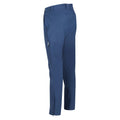 Admiral Blue - Side - Regatta Mens Questra IV Hiking Trousers