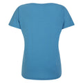 Niagra Blue - Back - Dare 2B Womens-Ladies Persisting Marl Lightweight T-Shirt