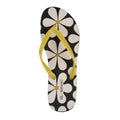 Black - Side - Regatta Womens-Ladies Daisy Flip Flops