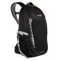 Black - Side - Regatta Britedale 30L Hiking Backpack