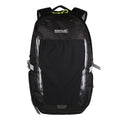 Black - Front - Regatta Britedale 30L Hiking Backpack