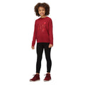 Rumba Red - Close up - Regatta Childrens-Kids Burnlee Butterflies Marl Long-Sleeved T-Shirt