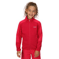 Pink Potion - Pack Shot - Regatta Childrens-Kids Highton II Fleece Jacket