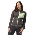 Quiet Green-Seal Grey - Lifestyle - Regatta Womens-Ladies Attare II Marl Jacket