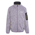 Lilac Frost-Sunset Purple - Front - Regatta Childrens-Kids Newhill Fleece Jacket