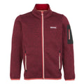 Rumba Red-Red Sky - Front - Regatta Childrens-Kids Newhill Fleece Jacket