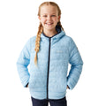 Clear Sky-Coronet Blue - Side - Regatta Childrens-Kids Marizion Hooded Padded Jacket