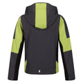 Seal Grey-Green Algae - Back - Regatta Childrens-Kids Acidity VI Lightweight Soft Shell Jacket