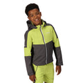 Seal Grey-Green Algae - Lifestyle - Regatta Childrens-Kids Acidity VI Lightweight Soft Shell Jacket