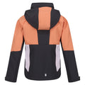 Seal Grey-Apricot Crush - Back - Regatta Childrens-Kids Haydenbury Soft Shell Jacket