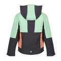 Seal Grey-Quiet Green - Back - Regatta Childrens-Kids Haydenbury Soft Shell Jacket