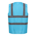 Sky Blue - Back - Regatta Unisex Adult Pro Identity Hi-Vis Vest