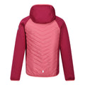 Rumba Red-Mineral Red - Back - Regatta Childrens-Kids Kielder Hybrid VII Padded Jacket