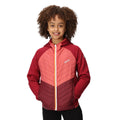 Rumba Red-Mineral Red - Lifestyle - Regatta Childrens-Kids Kielder Hybrid VII Padded Jacket