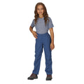 Dusty Denim - Pack Shot - Regatta Childrens-Kids Sorcer VI Hiking Trousers