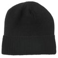 Black - Back - Tupac Shakur Unisex Adult Logo Beanie