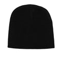 Black - Back - Green Day Unisex Adult Logo Beanie