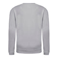 Heather Grey - Back - AWDis Just Hoods Childrens-Kids Plain Crew Neck Sweatshirt