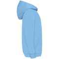 Sky Blue - Side - Fruit Of The Loom Older Kids Unisex Classic 80-20 Hoodie