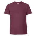 Burgundy - Back - Fruit Of The Loom Mens Iconic 195 Ringspun Premium Tshirt